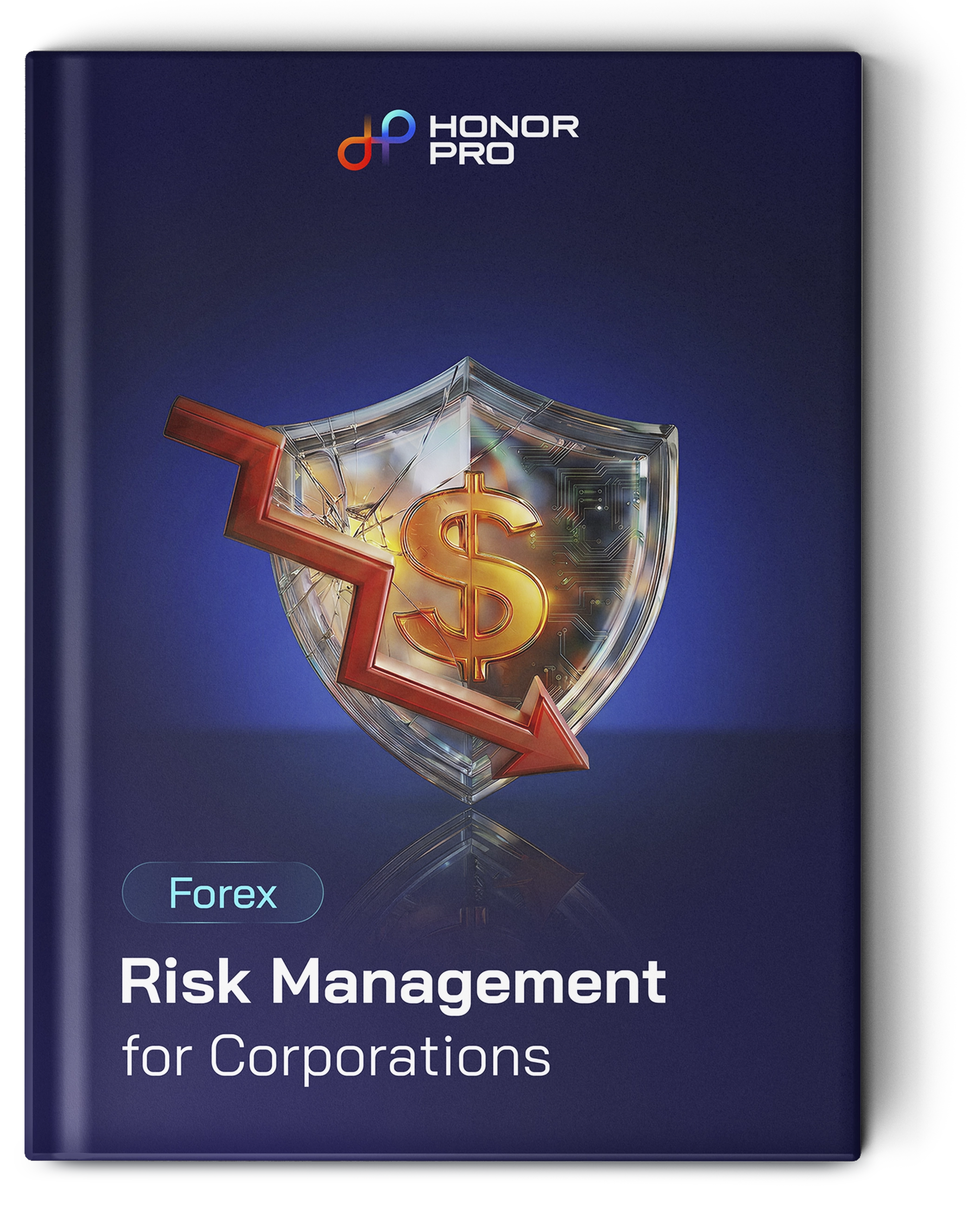 Forex Risk Management for Corporations eBook cover